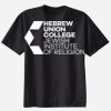 Ladies Perfect T Cotton T Shirt Thumbnail